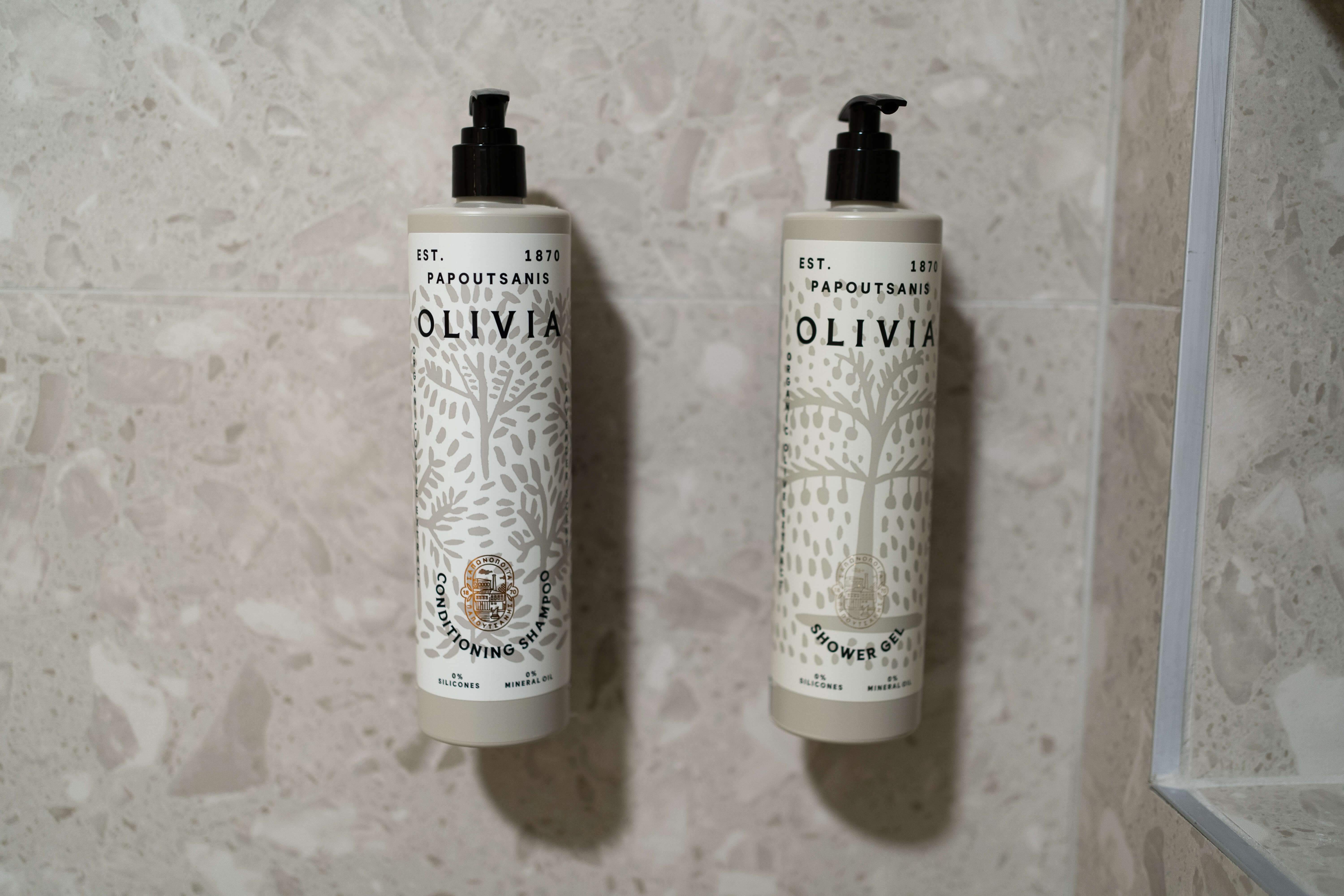 Deluxe Suite bathroom